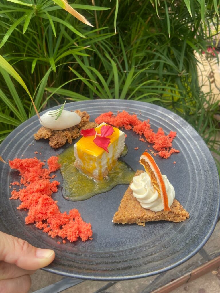 Dessert Signature Cheesecake agrumes