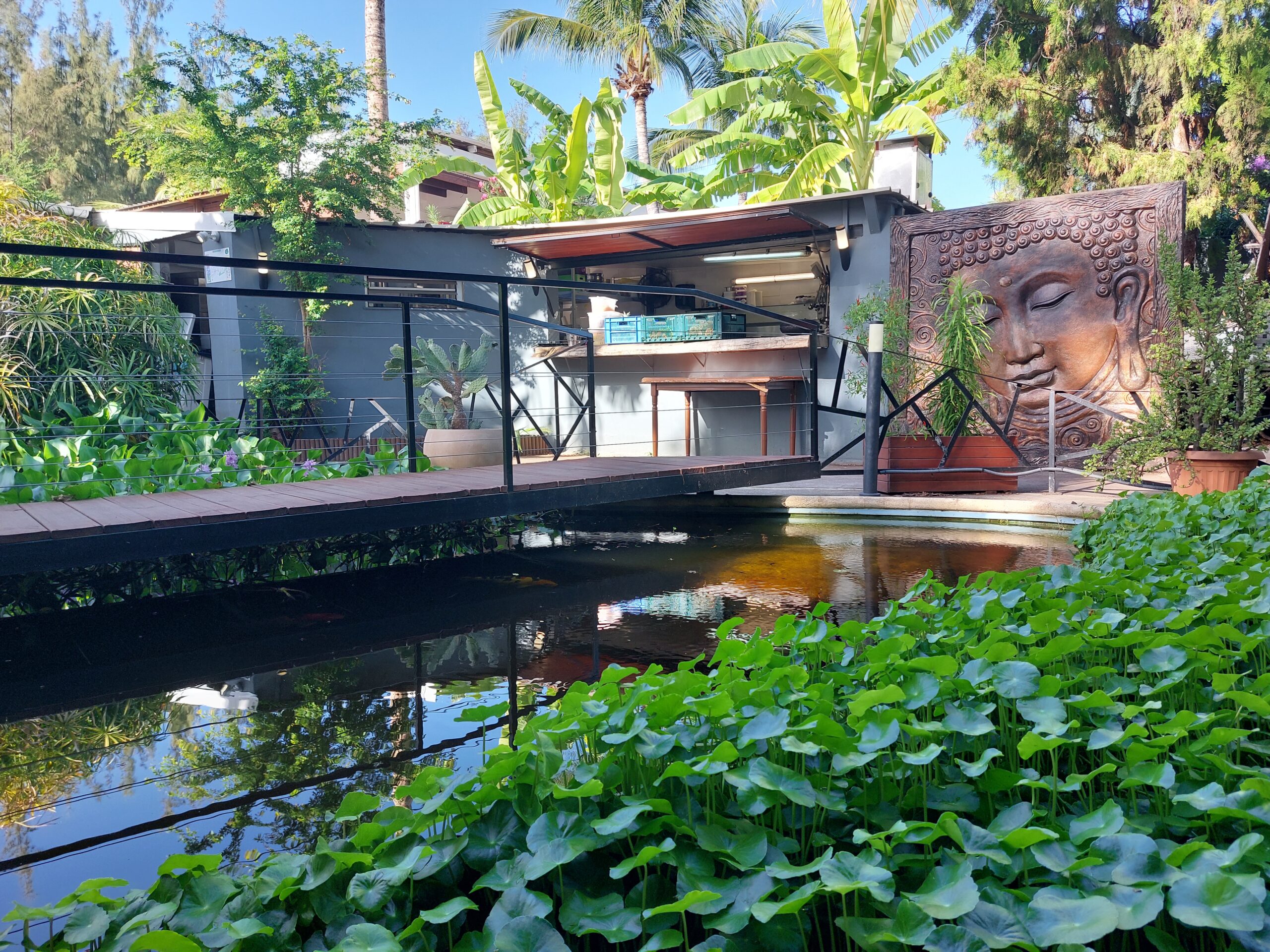 Bar jardin tropical