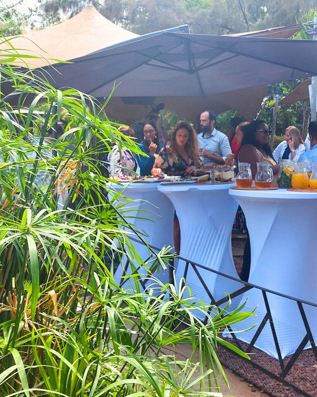 Cocktail dînatoire jardin groupe Vert Tu Oses