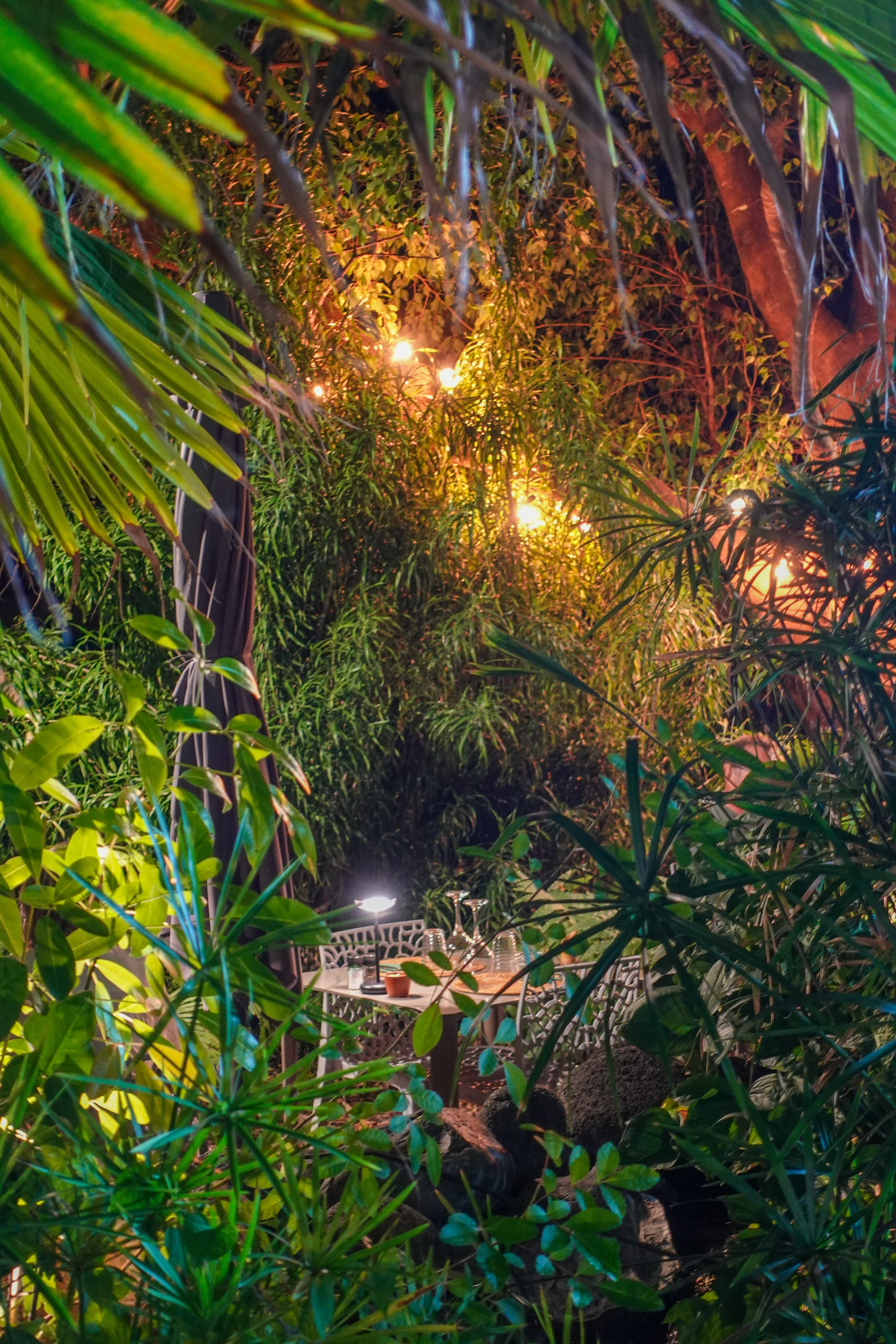 Terrasse jardin tropical Vert Tu Oses La Saline-les-Bains