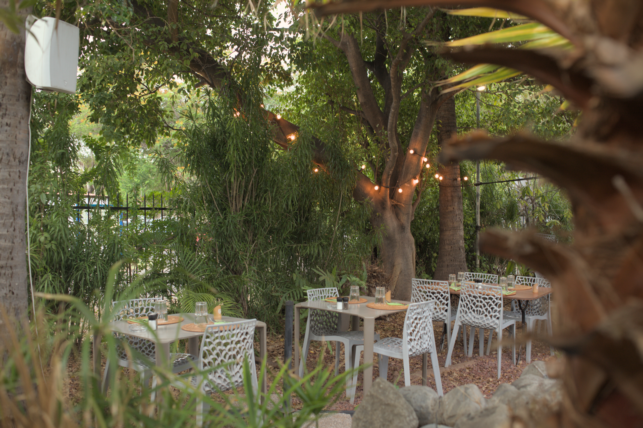 Salle restaurant Vert Tu Oses