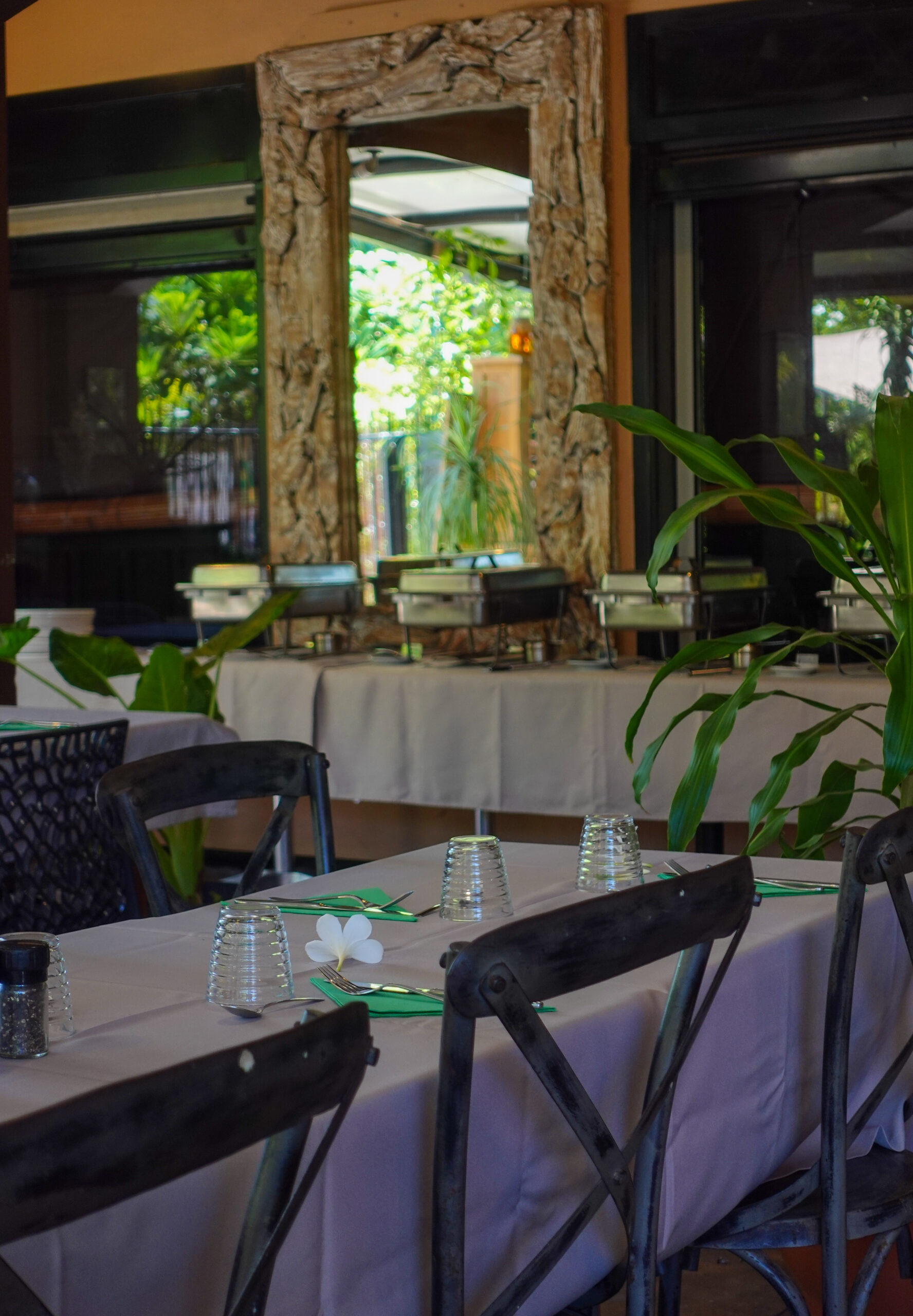 Privatisation restaurant Vert Tu Oses La Réunion